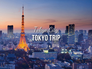 Tokyo Tour