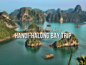 Hanoi-Halong Bay